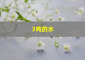 3吨的水