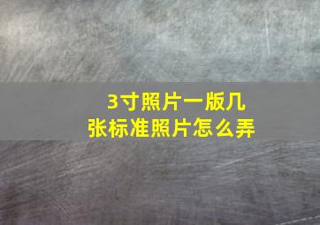 3寸照片一版几张标准照片怎么弄