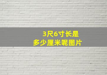 3尺6寸长是多少厘米呢图片