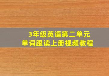 3年级英语第二单元单词跟读上册视频教程