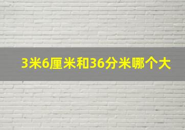 3米6厘米和36分米哪个大