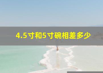 4.5寸和5寸碗相差多少