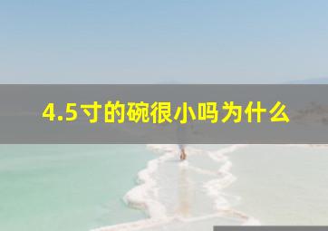 4.5寸的碗很小吗为什么