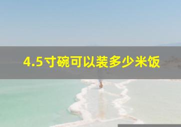 4.5寸碗可以装多少米饭