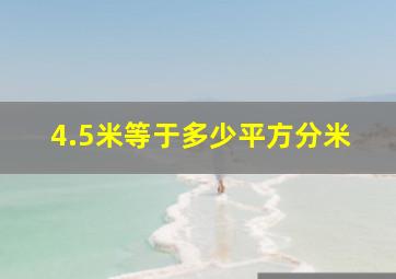 4.5米等于多少平方分米