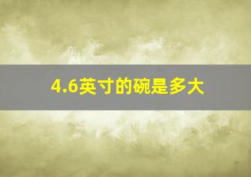 4.6英寸的碗是多大