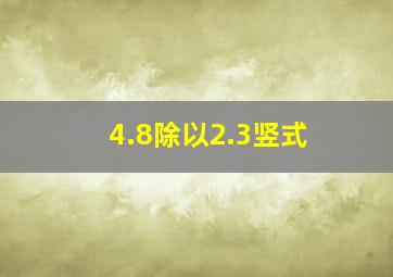 4.8除以2.3竖式