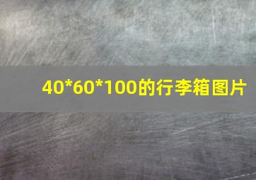 40*60*100的行李箱图片