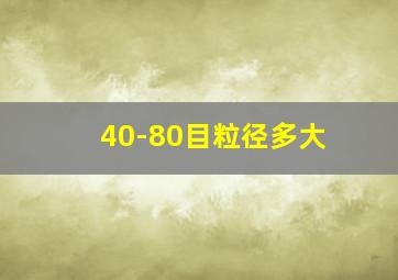 40-80目粒径多大