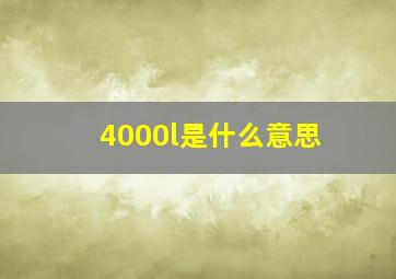 4000l是什么意思