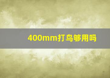 400mm打鸟够用吗