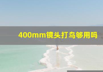 400mm镜头打鸟够用吗