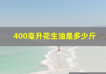 400毫升花生油是多少斤