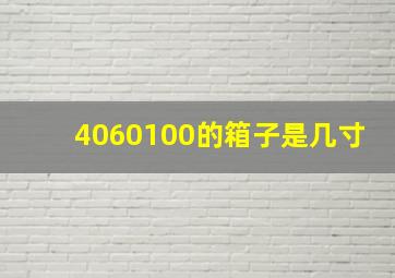 4060100的箱子是几寸