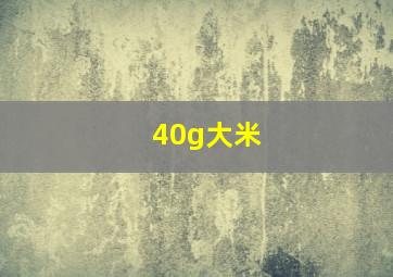 40g大米