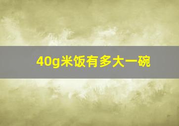 40g米饭有多大一碗