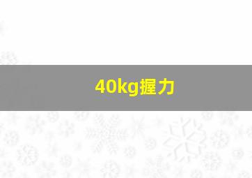 40kg握力