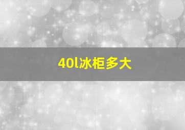 40l冰柜多大