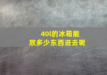 40l的冰箱能放多少东西进去呢