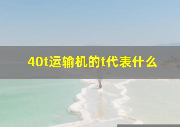 40t运输机的t代表什么