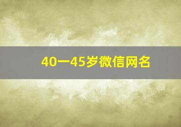 40一45岁微信网名