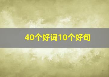 40个好词10个好句