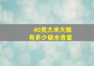 40克大米大概有多少碳水含量