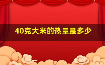 40克大米的热量是多少