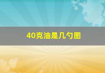 40克油是几勺图