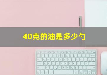 40克的油是多少勺