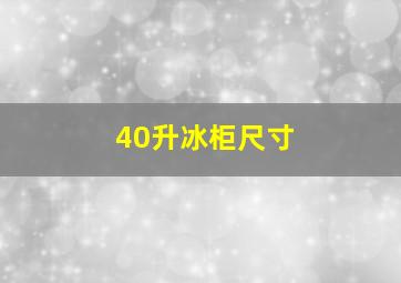 40升冰柜尺寸