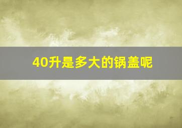 40升是多大的锅盖呢