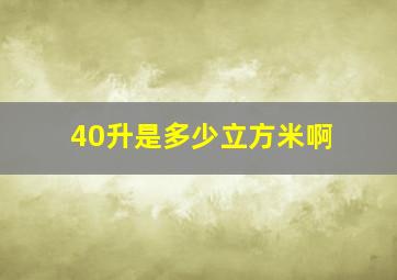 40升是多少立方米啊