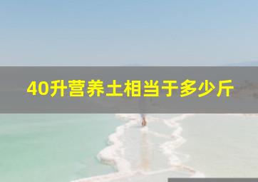 40升营养土相当于多少斤