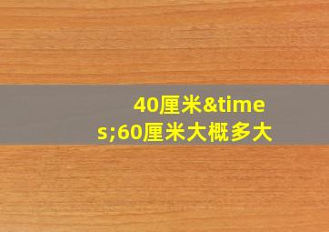 40厘米×60厘米大概多大