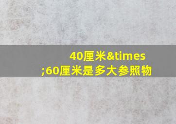 40厘米×60厘米是多大参照物