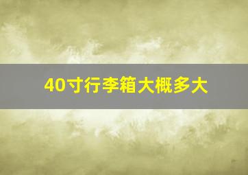 40寸行李箱大概多大