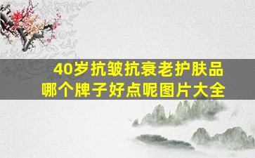 40岁抗皱抗衰老护肤品哪个牌子好点呢图片大全