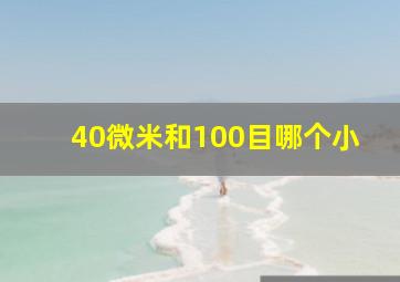 40微米和100目哪个小