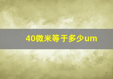 40微米等于多少um