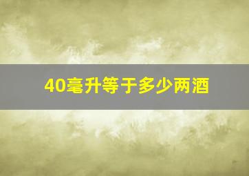 40毫升等于多少两酒