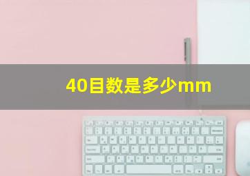 40目数是多少mm