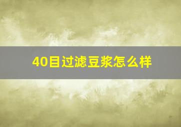 40目过滤豆浆怎么样