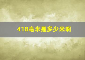 418毫米是多少米啊