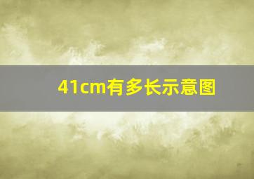 41cm有多长示意图