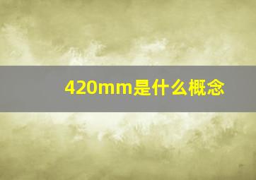 420mm是什么概念