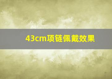 43cm项链佩戴效果