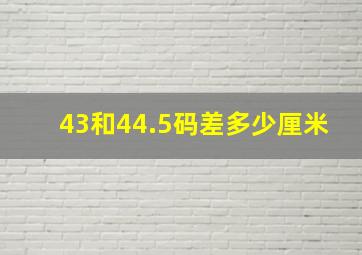 43和44.5码差多少厘米