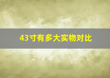 43寸有多大实物对比