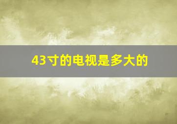 43寸的电视是多大的